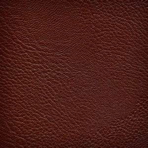 imagen Blog Lussio Zapatos de cuero para hombre